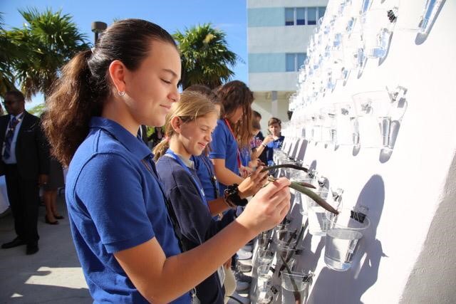 Watering the Mangrove Wall